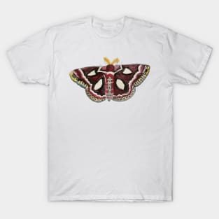 Watercolor Cecropia (silk) Moth T-Shirt